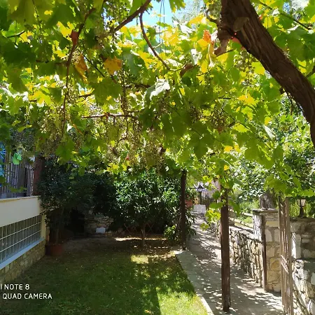 Morfili * Limenaria (Thasos)