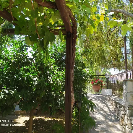 Morfili * يميناريا