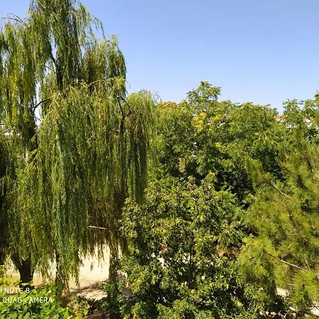 Morfili Apartman Limenária