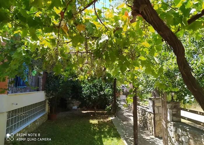 Morfili * Limenaria (Thasos)