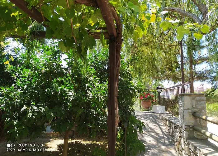 Morfili * Limenaria (Thasos)